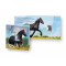 Zilveren Postzegel Het Friesse Paard 