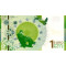 Euro Special Note Nikola Tesla