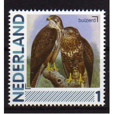 2791-Aa-8-Vogels-Buizerd