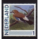 2791-Aa-13-Vogels-Gaai