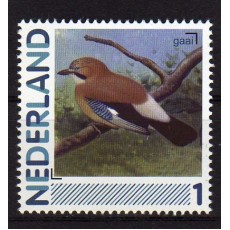 2791-Aa-13-Vogels-Gaai